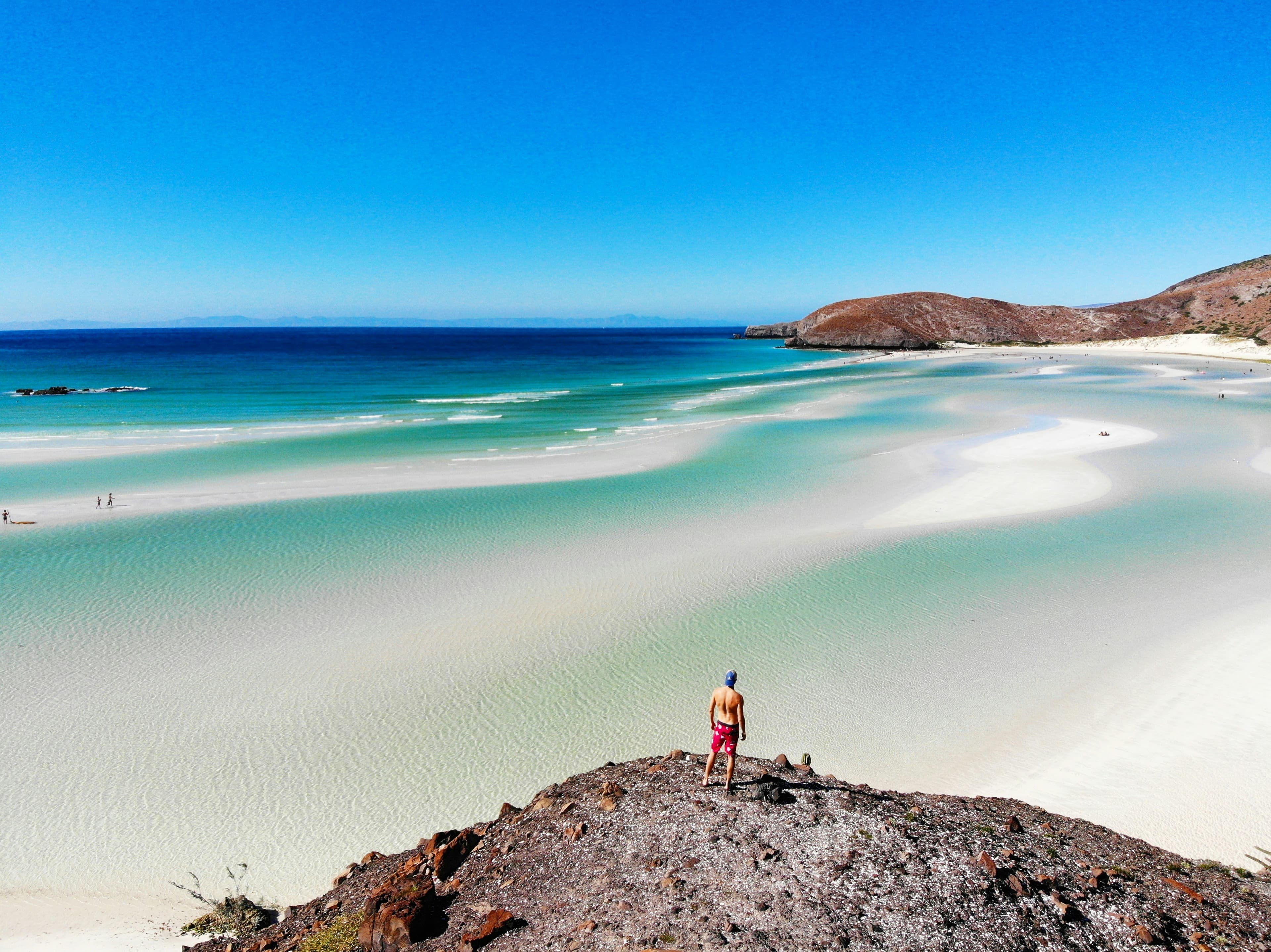 Sea of Sea of Cortez — La Paz Diving at Its Finest 2026