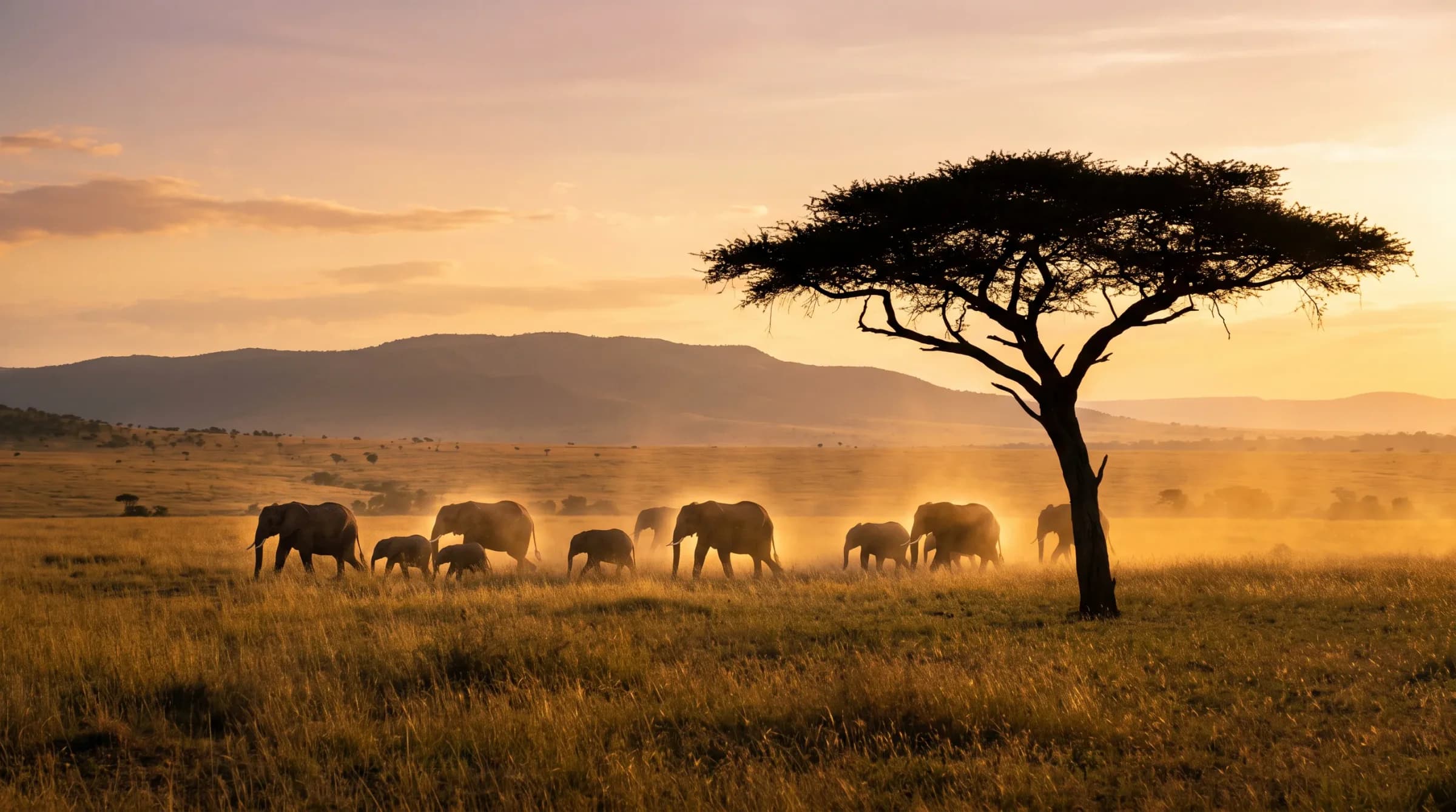 Return to Tanzania Safari Adventure