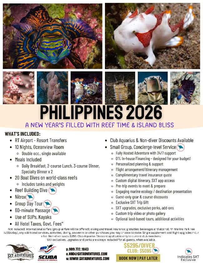 Philippines 2026 — New Year’s Reef & Island Bliss